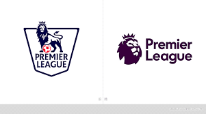  网坛常青树费德勒复出，慈善表演赛筹款破纪录